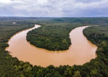 Galamsey causing child deformity – Pathologist