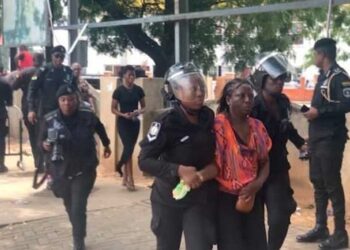 No one is pregnant – Police exposes arrested Demo Hub protester claiming to be with child