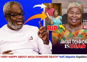Why leave useless Akpaloo alive and kill Akua Donkor – Kevin Taylor seeks answers