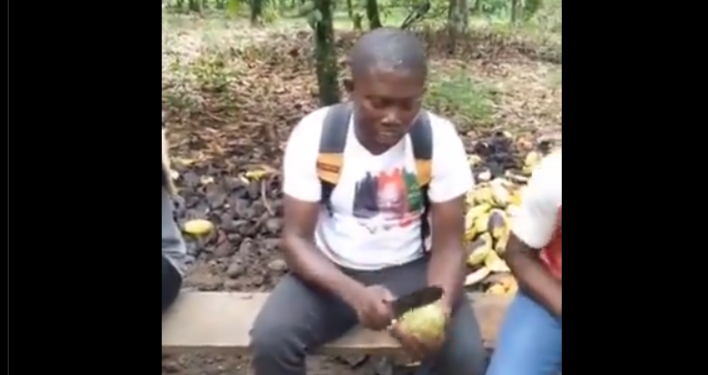 ‘You will pay smoke tax if you burn your weeds – NDC communication Officer to cocoa farmers
