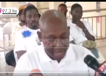Over 100 ‘butterflies’ of Alan Kyeremanten return to NPP