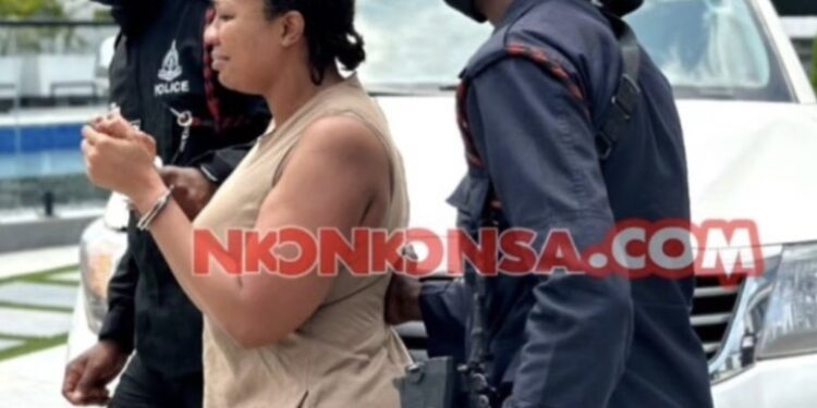 Blogger calls for arrest of Serwaa Amihere and Nkokonsa