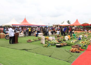 Cocoa Farmer’s children to enjoy scholarship at Tertiary- Dr. Bawumia assures
