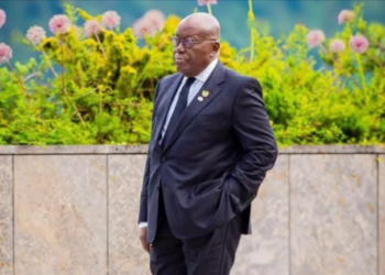 Akufo-Addo looks empty, not accomplished, and disgraceful – Financial analyst