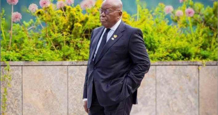 Akufo-Addo looks empty, not accomplished, and disgraceful – Financial analyst