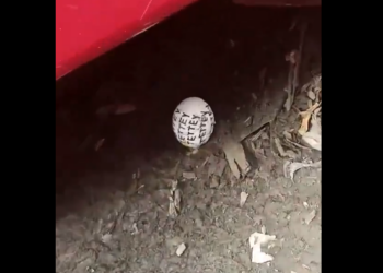 Juju scare as OA bus driver spots egg with ‘Tettey’ under bus