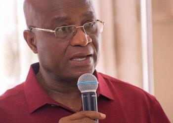 We are not in a coup regime, resort to due process – Osei Kyei fires ORAL team