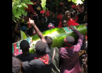 Video: Man buried in a beer bottle
